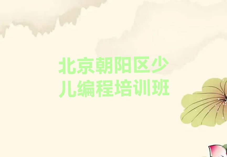 北京朝阳区少儿编程培训班