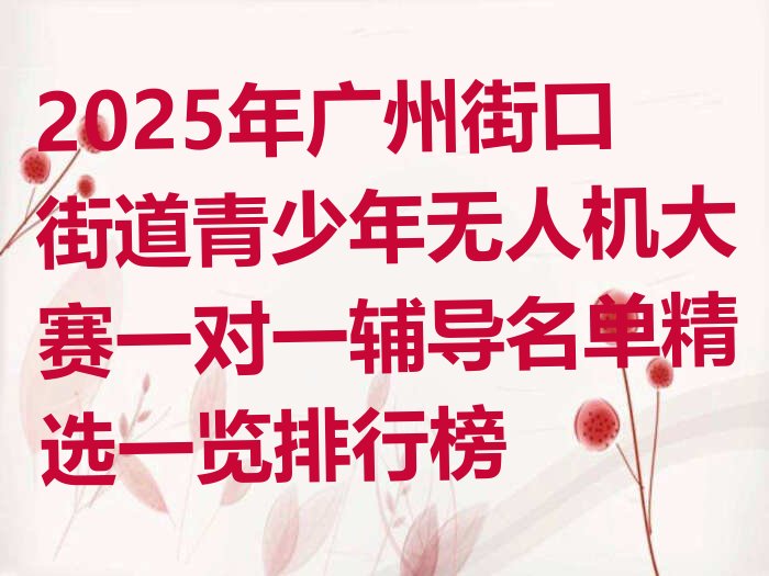 十大2025年广州街口街道青少年无人机大赛一对一辅导名单精选一览排行榜排行榜