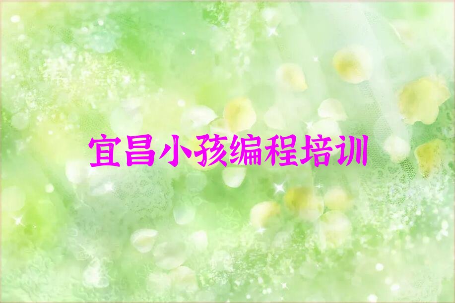宜昌猇亭区古老背街道少儿编程培训学校