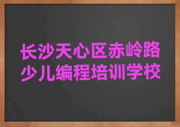 长沙天心区赤岭路少儿编程培训学校