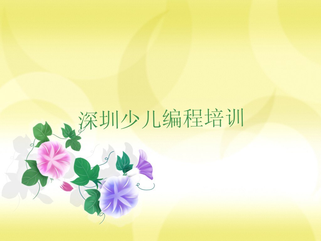 深圳少儿编程培训学校