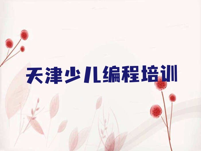 天津宁河区天津未来科技城宁河片区北淮淀组团少儿编程培训学校
