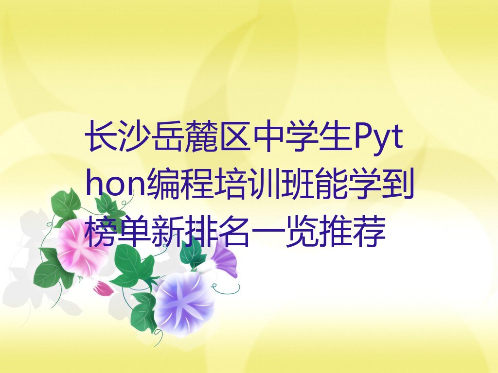 中学生Python编程
