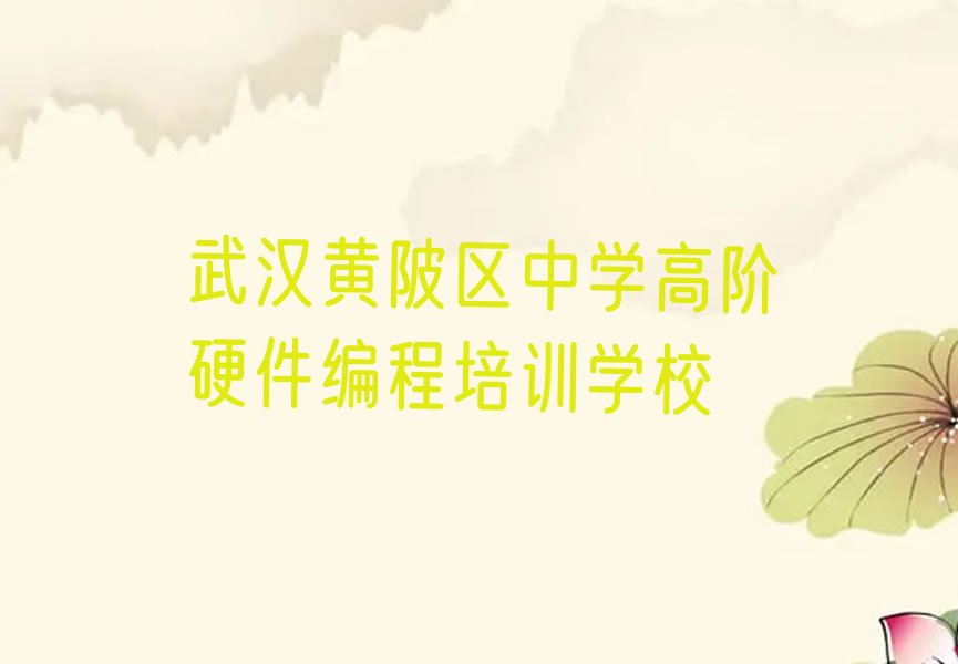 武汉黄陂区中学高阶硬件编程培训学校