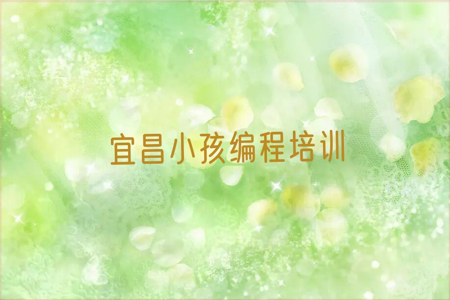 宜昌猇亭区古老背街道少儿编程培训学校