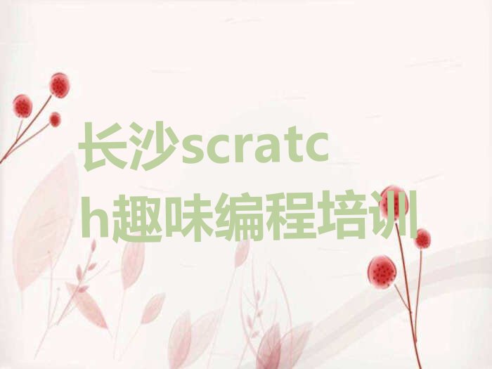 长沙雨花区scratch趣味编程培训学校