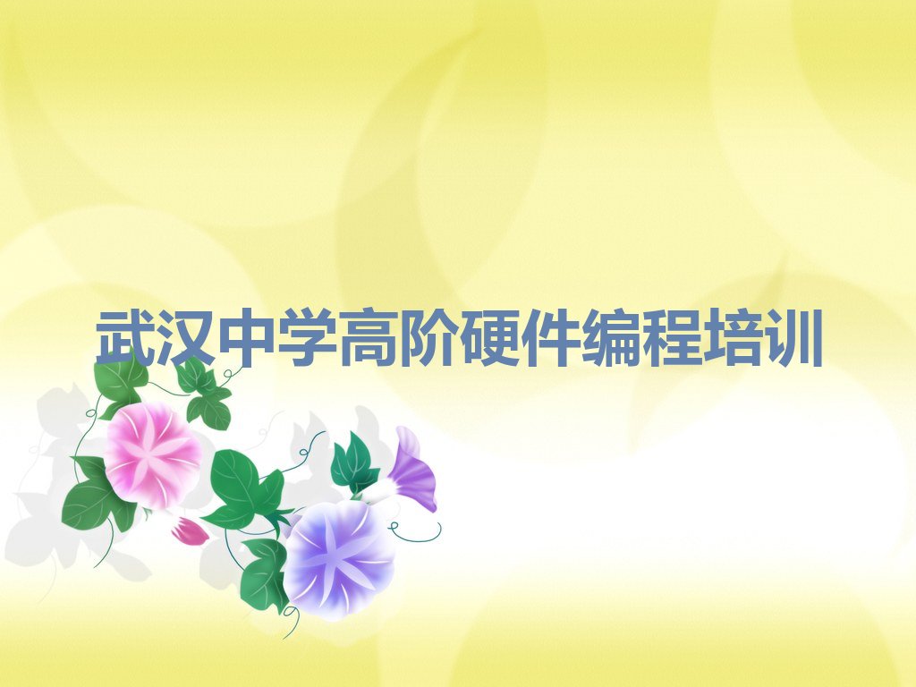 武汉黄陂区中学高阶硬件编程培训学校