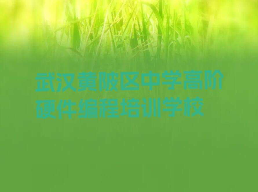 中学高阶硬件编程