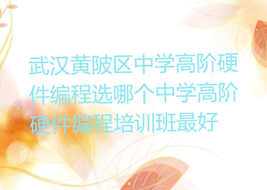 武汉黄陂区中学高阶硬件编程培训学校