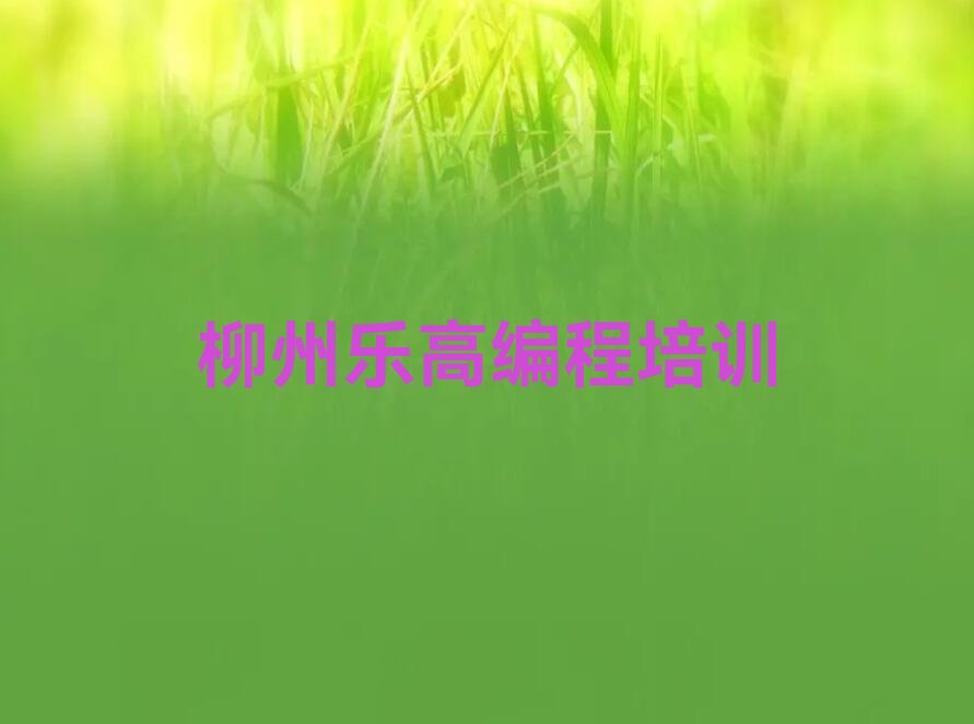 柳州柳南区乐高编程培训学校