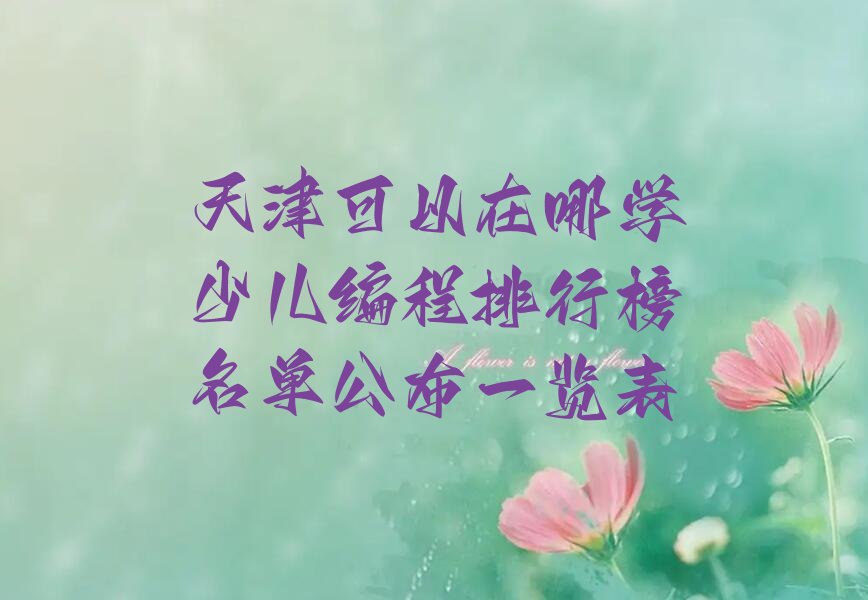 天津津南区八里台镇少儿编程培训学校
