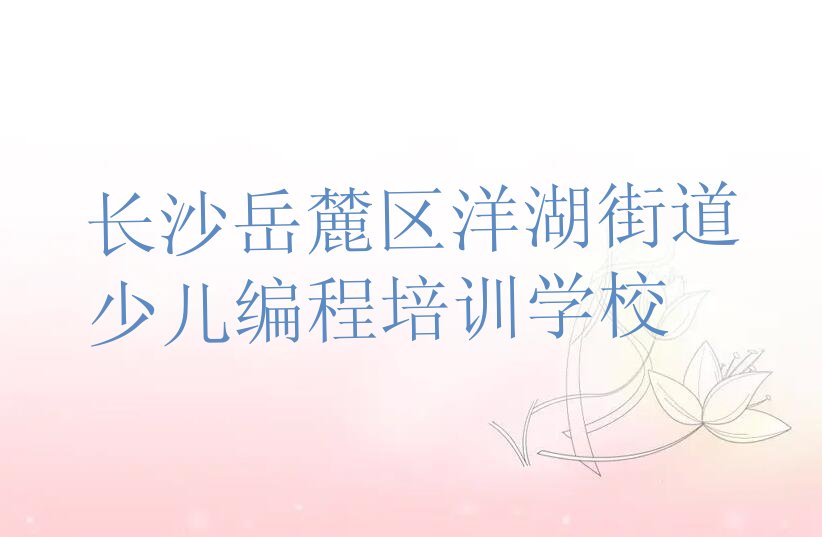 长沙岳麓区洋湖街道少儿编程培训学校
