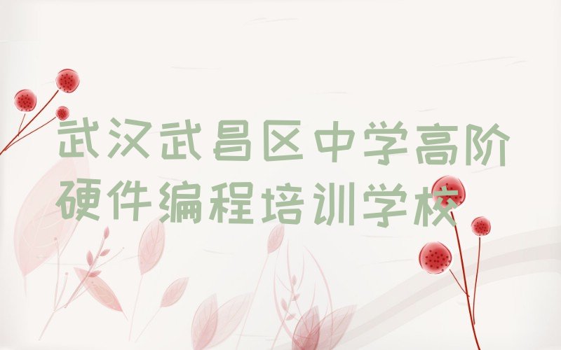 十大武汉武昌区中学高阶硬件编程培训短期班收费怎么样学费是多少名单总览公布一览表排行榜