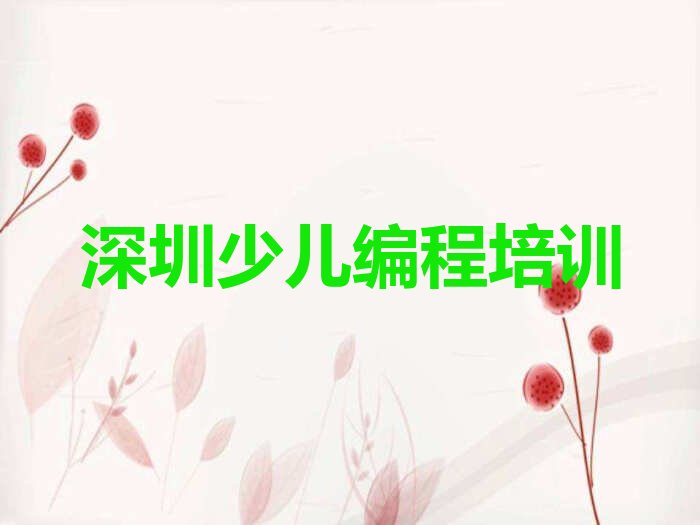 深圳宝安区燕罗街道少儿编程培训学校