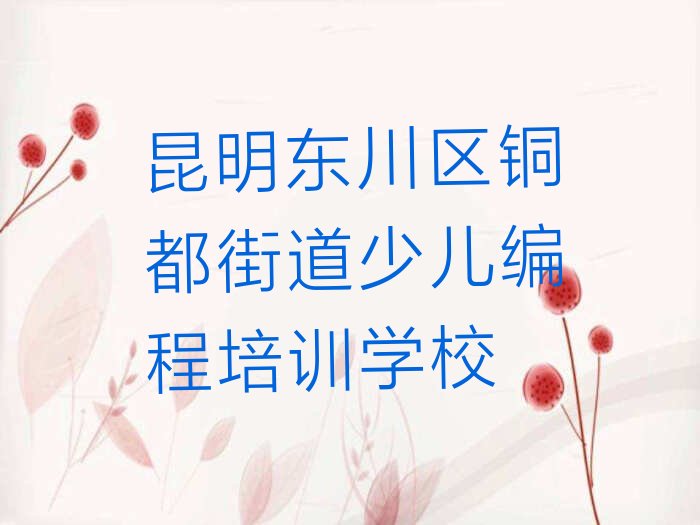 昆明东川区铜都街道少儿编程培训学校