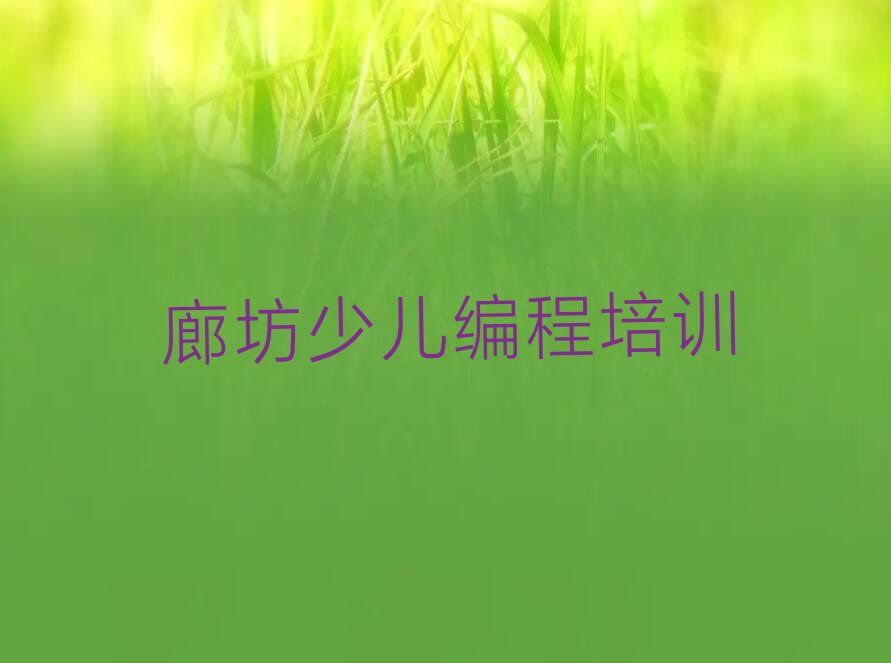 少儿编程