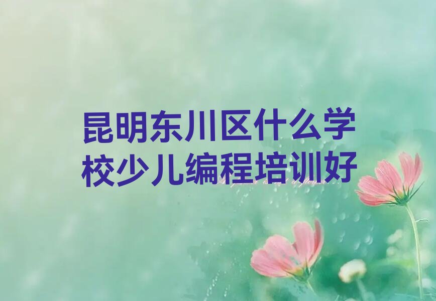 昆明东川区铜都街道少儿编程培训学校