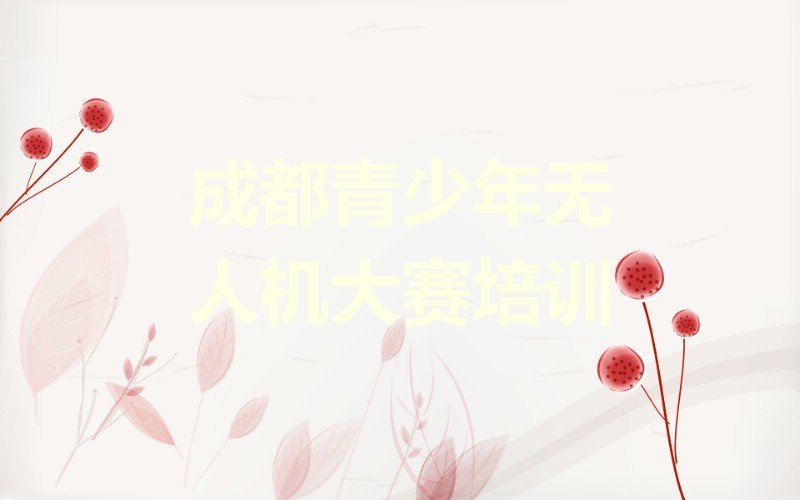 成都龙泉驿区青少年无人机大赛培训学校