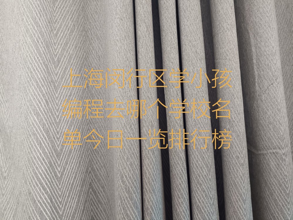 上海闵行区江川路小孩编程培训学校