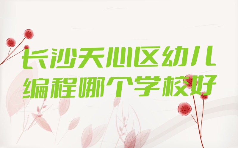 长沙天心区少儿编程培训