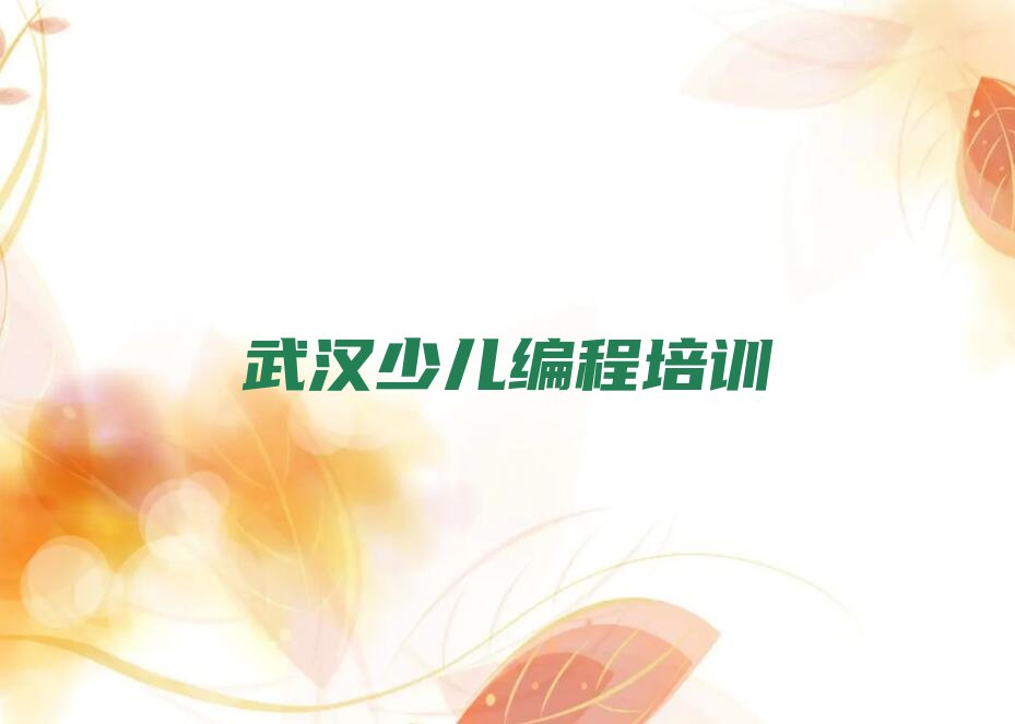 武汉少儿编程培训班