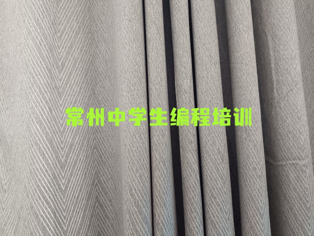 中学生编程