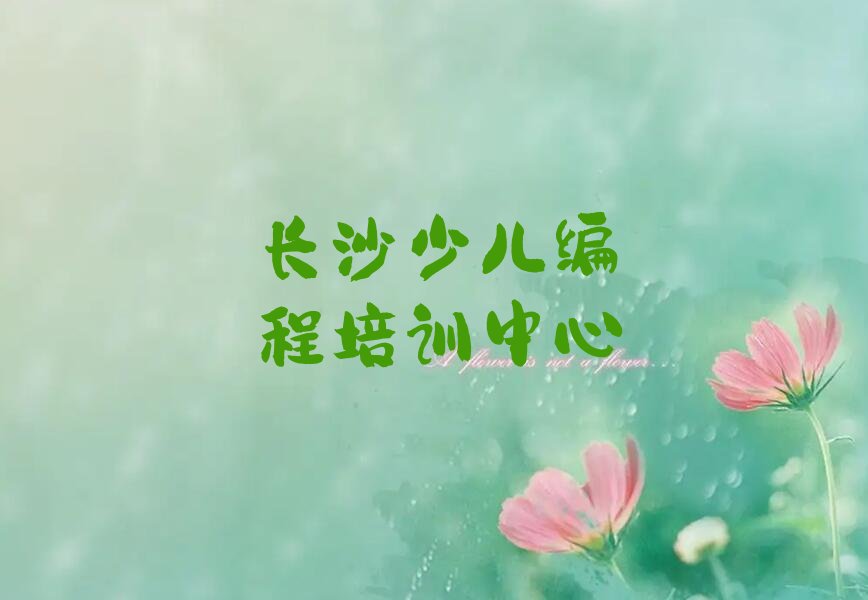 长沙少儿编程培训中心