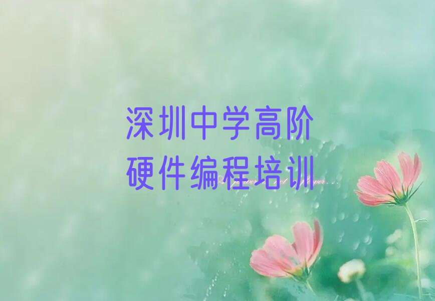 十大中学高阶硬件编程培训班排行榜深圳罗湖区有几家推荐排名名单一览表排行榜