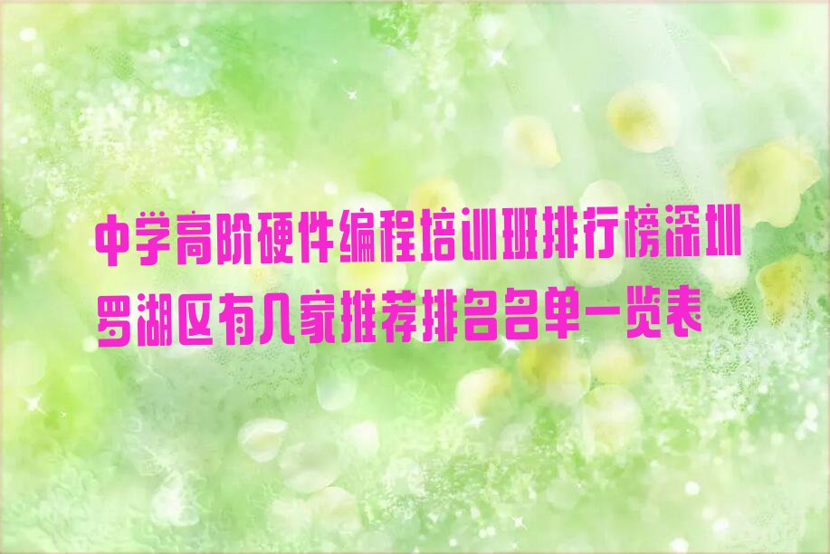 深圳罗湖区东门街道少儿编程培训学校