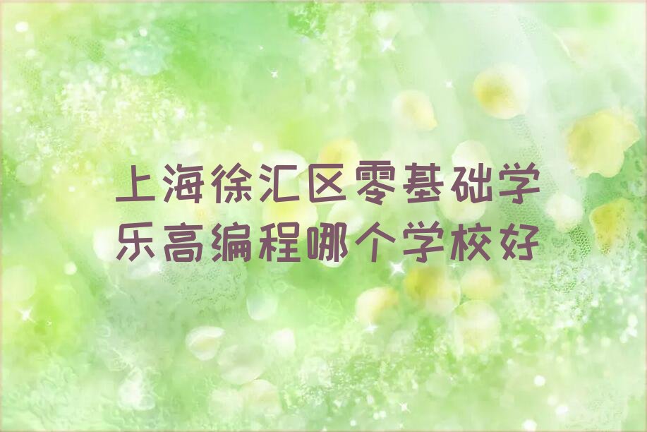 上海徐汇区少儿编程培训