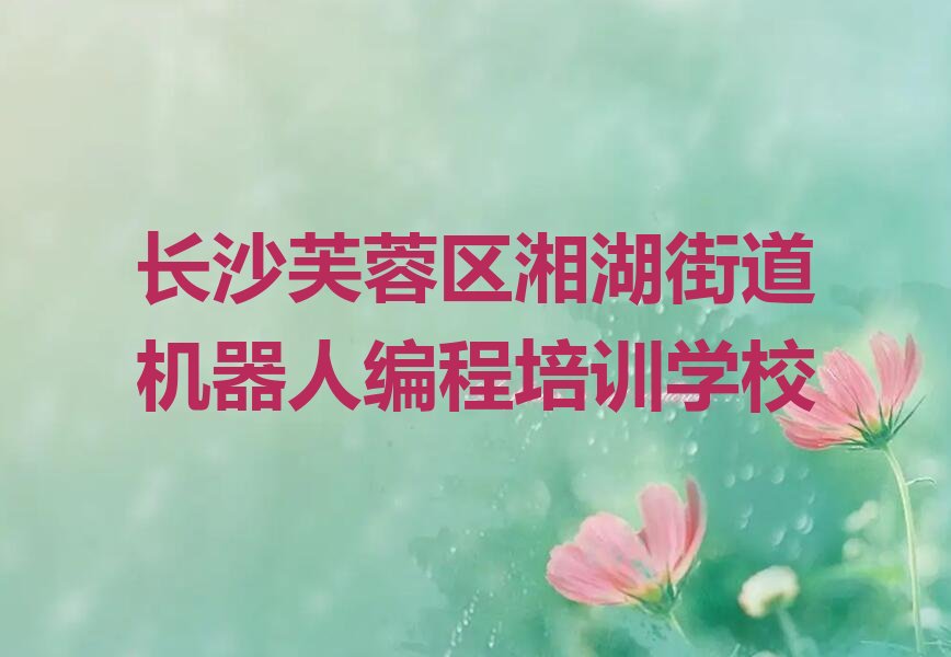 机器人编程