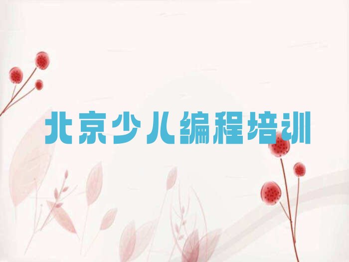 北京通州区马驹桥镇少儿编程培训学校