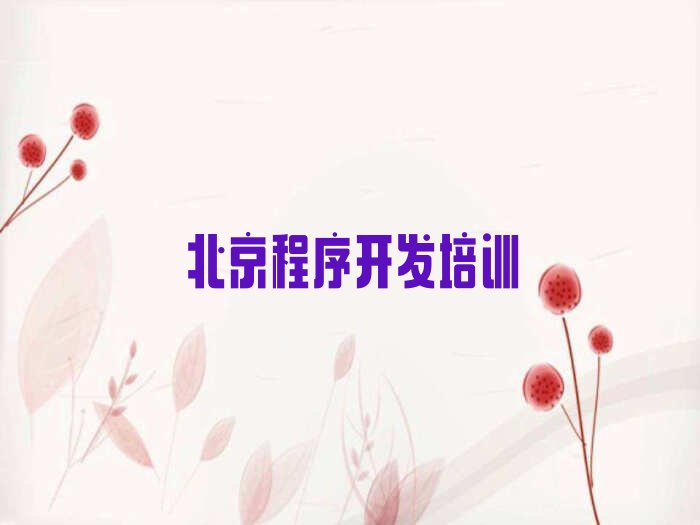 北京朝阳区少儿编程培训中心