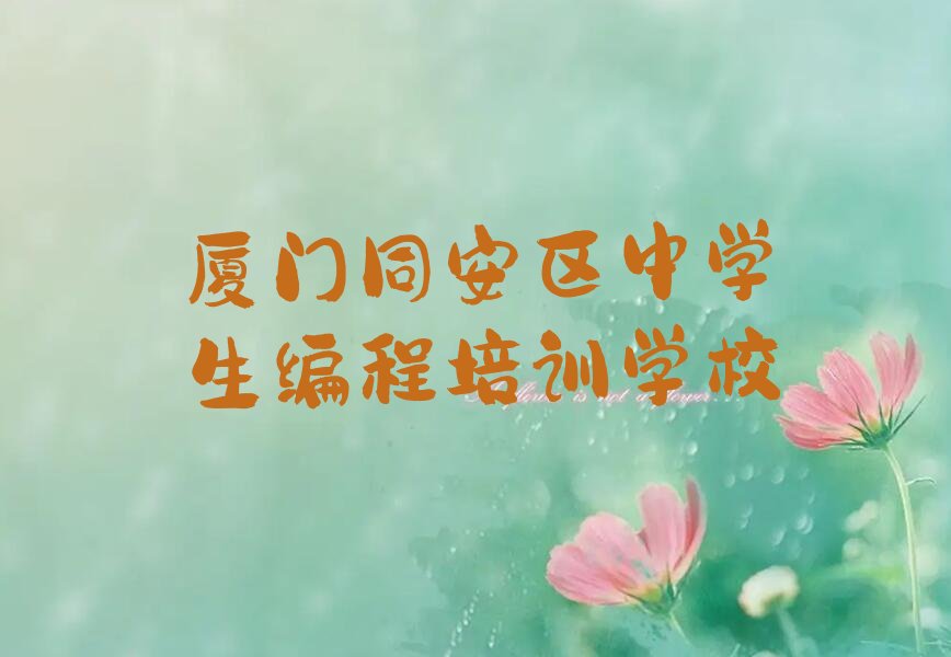 中学生编程