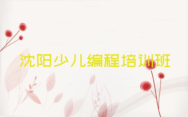 沈阳少儿编程培训班