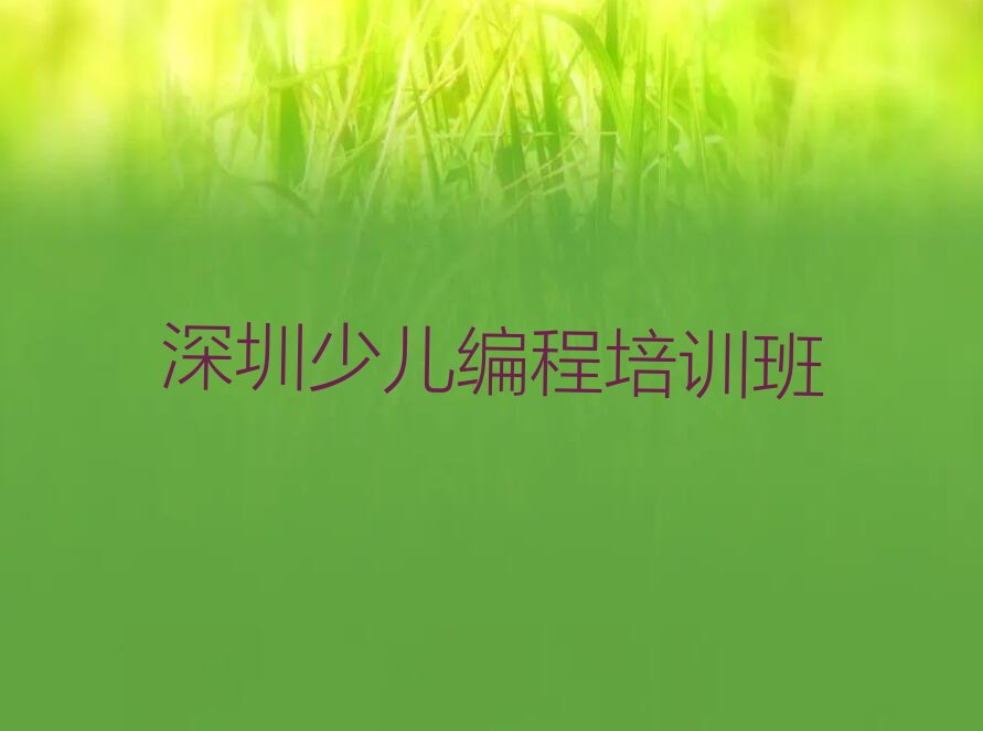 深圳少儿编程培训班