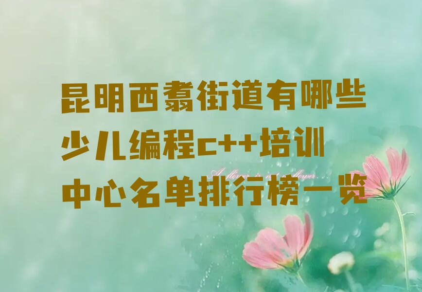 昆明五华区西翥街道少儿编程c++培训学校