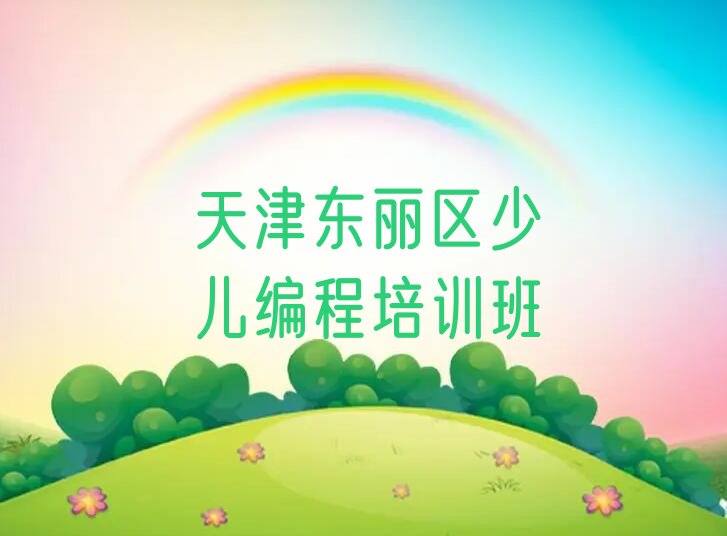 天津东丽区少儿编程培训班
