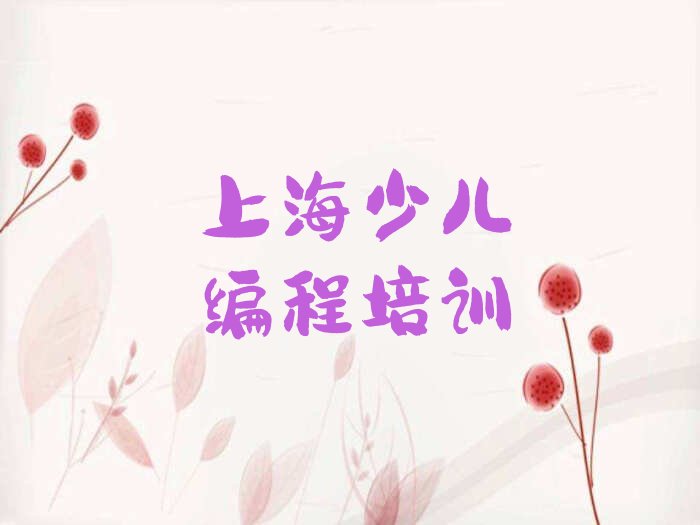上海少儿编程培训班