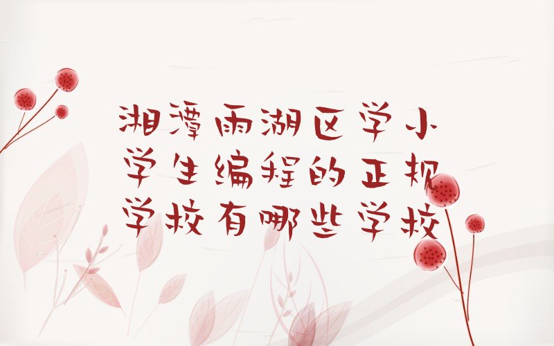 十大湘潭雨湖区学小学生编程的正规学校有哪些学校排行榜