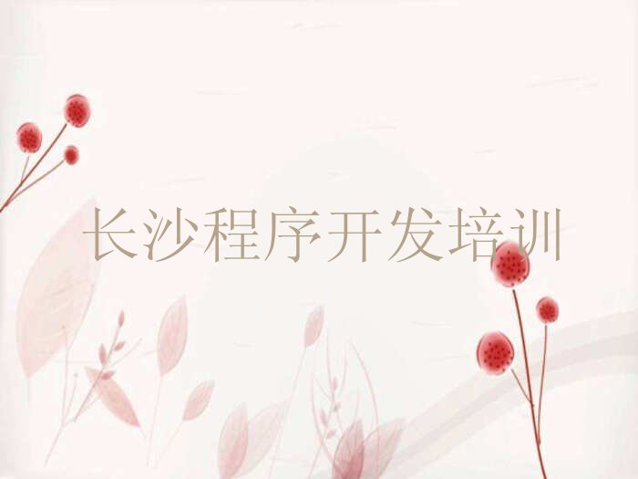 长沙少儿编程培训中心