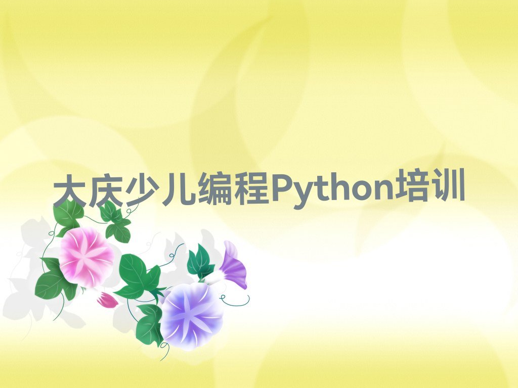 大庆让胡路区少儿编程培训中心