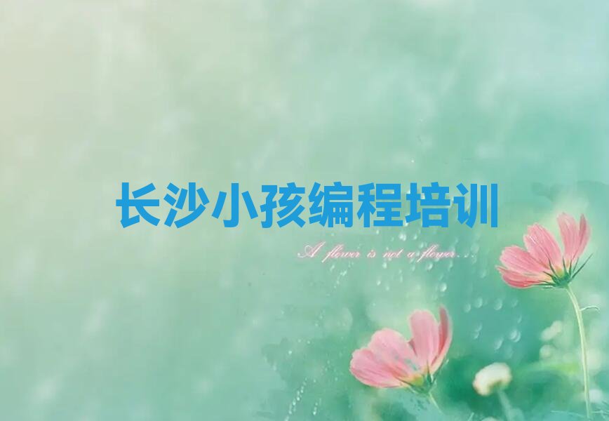 长沙岳麓区雨敞坪镇少儿编程培训学校