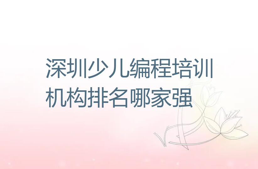 深圳盐田区少儿编程培训学校