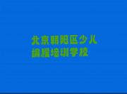 北京朝阳区排名前十的孩子编程课程辅导机构