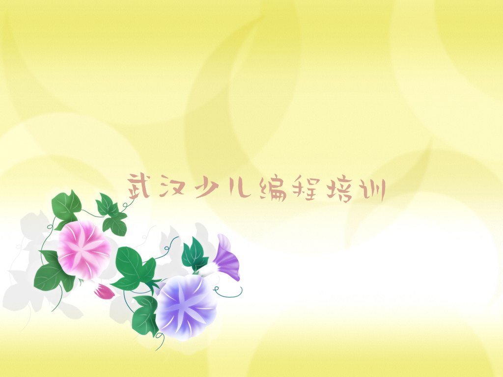 小孩编程