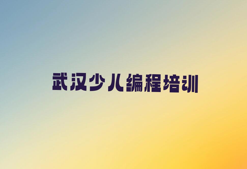 武汉江汉区武汉中央商务区管理委员会小孩编程培训学校