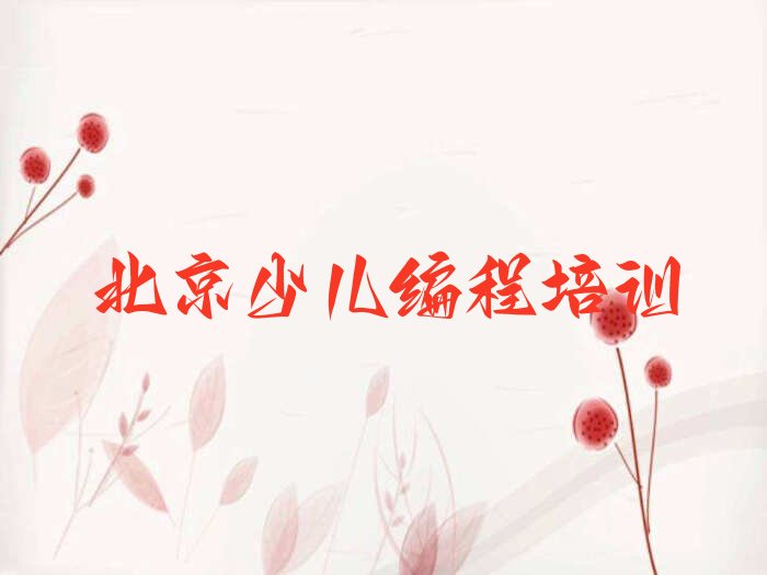 北京少儿编程培训学校