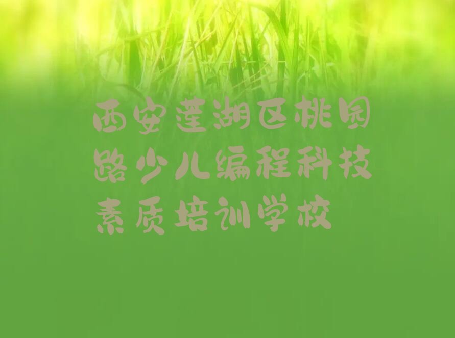 西安莲湖区桃园路少儿编程科技素质培训学校