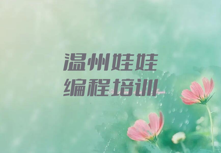 娃娃编程